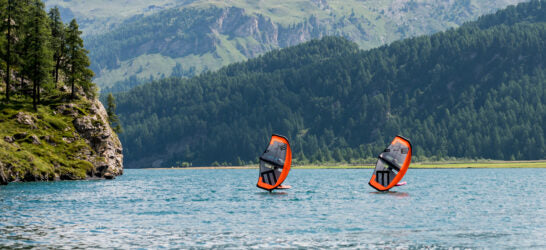 Ensis Spin Wing